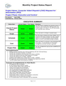 Executive Summary Project Status Report Template Ppt Example