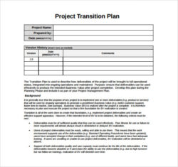 Free Costum Free 9 Sample Transition Plan Templates In Pdf  Ms Word  Pages Pdf