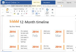 Free Editable 12 Month Timeline Template For Word Online  Powerpoint Presentation Docs Example