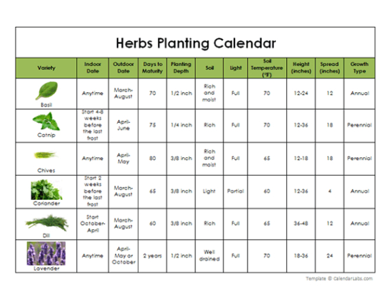 Editable Herbs Planting Calendar  Free Printable Templates Excel