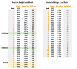 Free  6 Steps To A Building A Winning Bodybuilding Contest Prep  Revive Stronger Excel Example