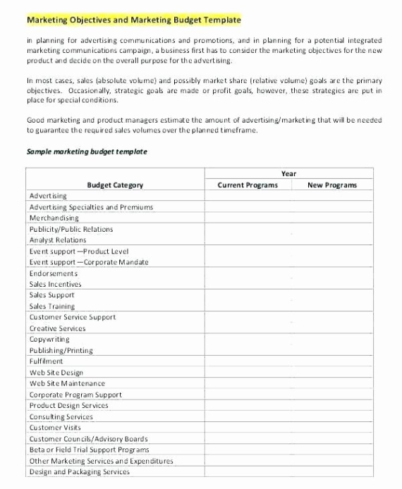 Free Costum 40 Political Campaign Plan Template  Hamiltonplastering Excel