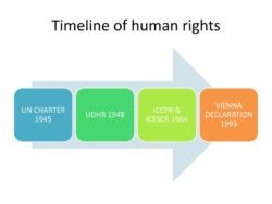 Free Costum Ppt  Issues In Human Rights Post Vienna Declaration 1993 Heru Susetyo  Sh Llm Msi  Phd Pdf Sample
