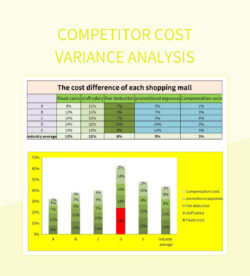 Editable Balance Sheet Variance Analysis Template Sample