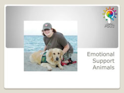 Editable Emotional Support Animal Letter For Flying Template Example