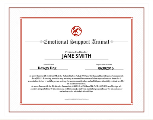 Free Blank Emotional Support Animal Esa Letter Template Word