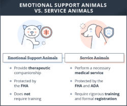 Free Printable Emotional Support Animal Oregon Letter Template Word