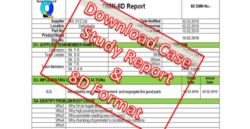 Printable 8D Failure Analysis Report Template Doc