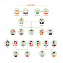 Costum Family Tree Template With Cousins  Example