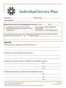 Free Costum Individual Service Plan Template Complete With Ease  Airslate Signnow Ppt Sample