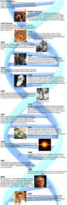 Simple Timeline Of Evolution Ppt Sample