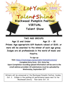 Free Blank Talent Show Sign Up Sheet Template  Sample