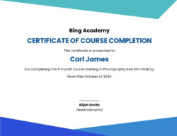 Free Blank Training Completion Sign Off Template  Sample